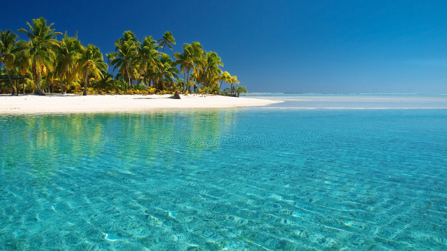 Beach palm trees clear water #17 free wallpaper - medium preview image