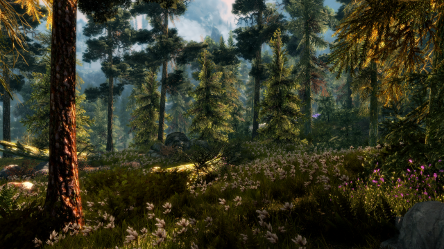 Forest car trees foreground rock free wallpaper - medium preview image
