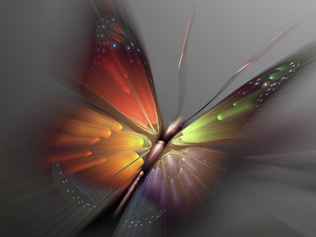 Colorful butterfly light wings spread free wallpaper - medium preview image