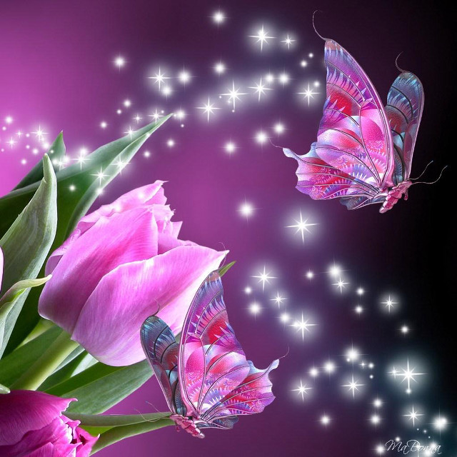 Bouquet butterflies purple background stars free wallpaper - medium preview image