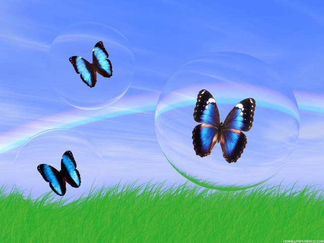 Butterflies green field rainbow bubbles #2 free wallpaper - medium preview image