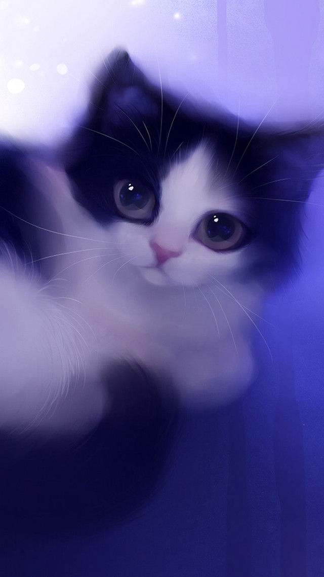 Black white cat purple background free wallpaper - medium preview image
