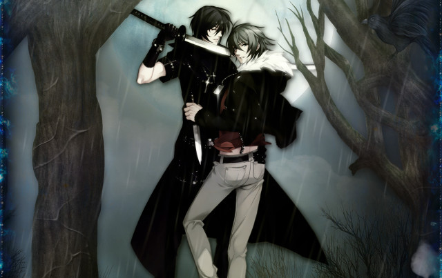Couple people rain swords wolf free wallpaper - medium preview image