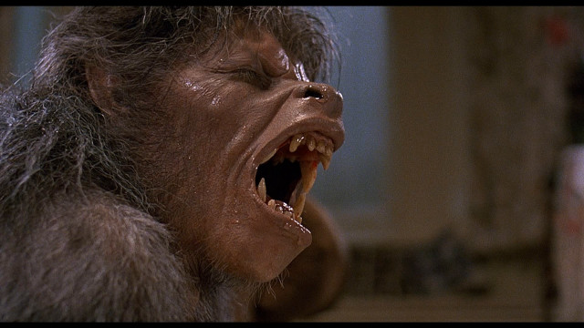 Monkey open mouth sharp teeth free wallpaper - medium preview image