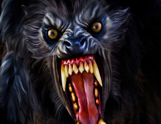 Black bear open mouth yellow free wallpaper - medium preview image