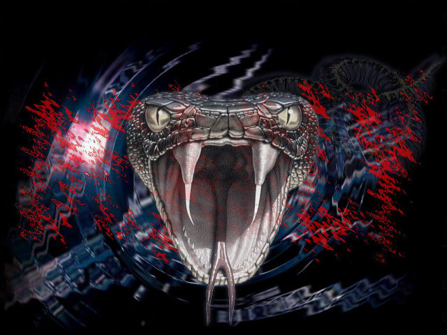 Snake mouth open tongue red free wallpaper - medium preview image