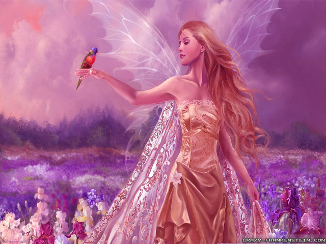 Beautiful woman dress holding bird free wallpaper - medium preview image