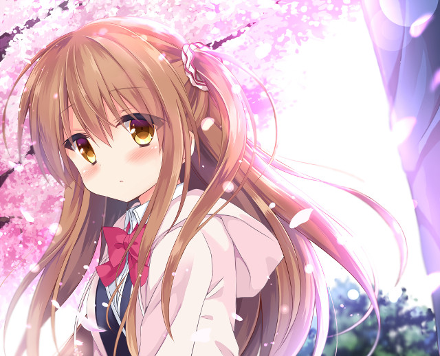 Girl bow tie cherry blossoms free wallpaper - medium preview image