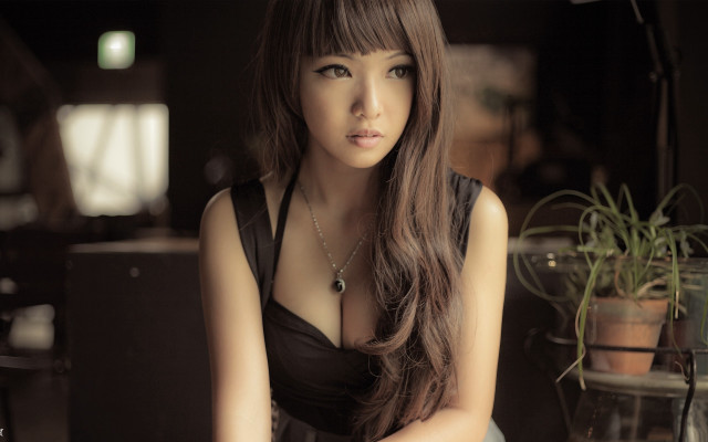Woman sitting table laptop plant free wallpaper - medium preview image