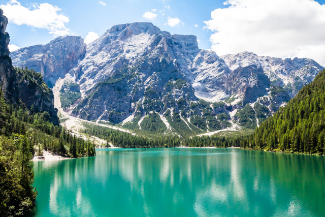 Mountain lake trees background foreground free wallpaper - medium preview image