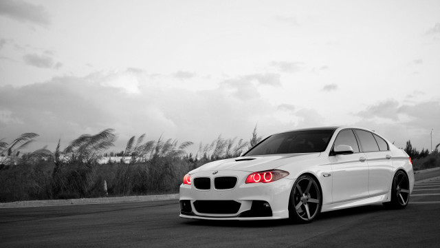 White car parking lot forest free wallpaper - medium preview image