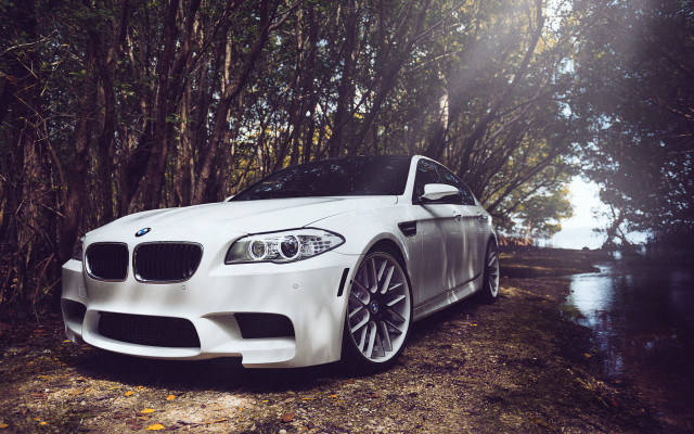 White car parked forest water free wallpaper - medium preview image