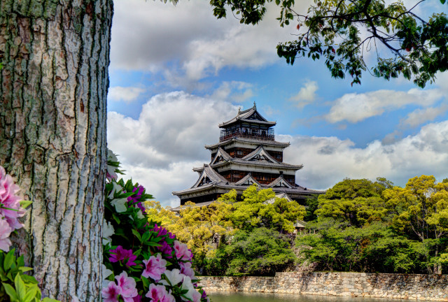 Tall building tree river flower free wallpaper - medium preview image