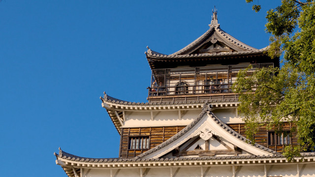 Tall building clock tower tree free wallpaper - medium preview image