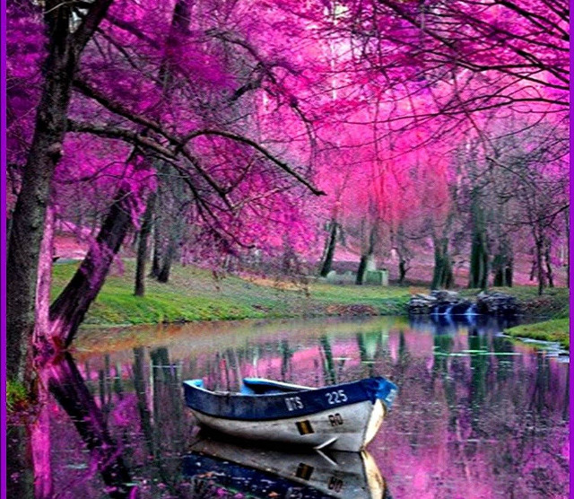 Boat water purple frame tree free wallpaper - medium preview image