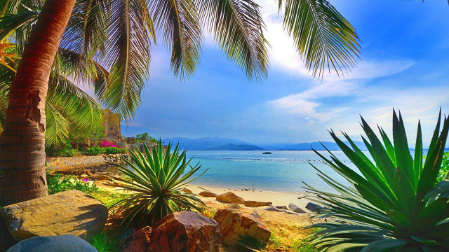 Tropical beach palm trees boat #2 free wallpaper - medium preview image
