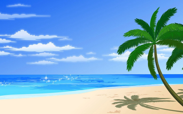 Palm tree beach blue sky #4 free wallpaper - medium preview image