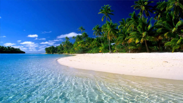 Beach palm trees clear water #20 free wallpaper - medium preview image