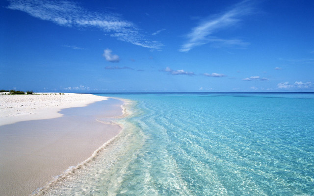 Beach clear blue water sandy free wallpaper - medium preview image