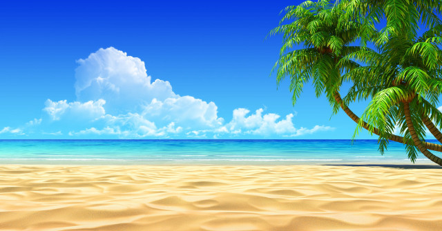 Beach palm tree blue sky #8 free wallpaper - medium preview image