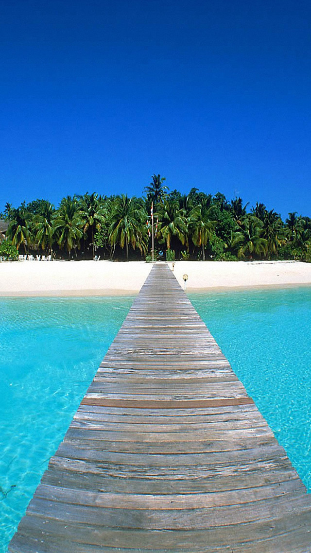 Wooden dock ocean beach palm free wallpaper - medium preview image