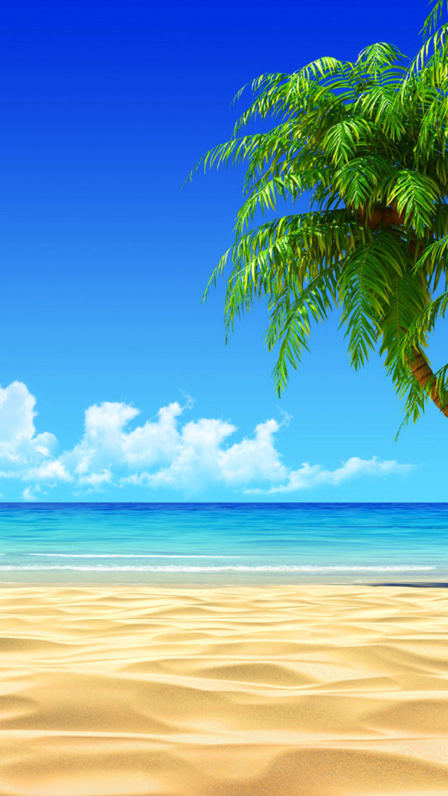 Palm beach sky ocean mountains free wallpaper - medium preview image