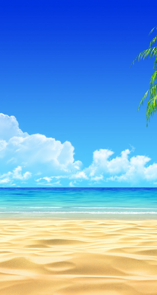 Beach palm tree blue sky free wallpaper - medium preview image