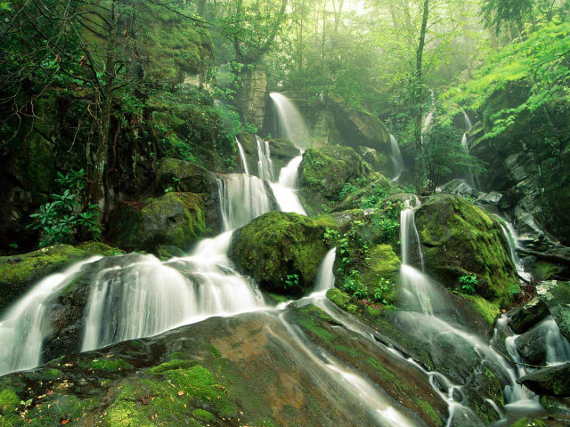 Waterfall forest mossy rocks trees #10 free wallpaper - medium preview image