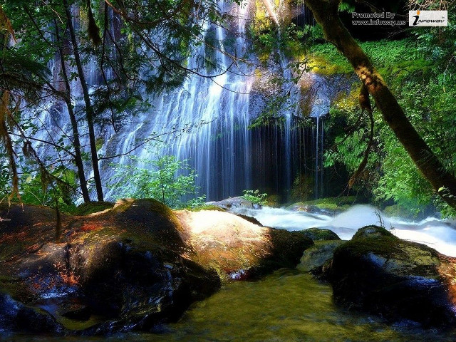 Waterfall forest rocks trees stream #13 free wallpaper - medium preview image