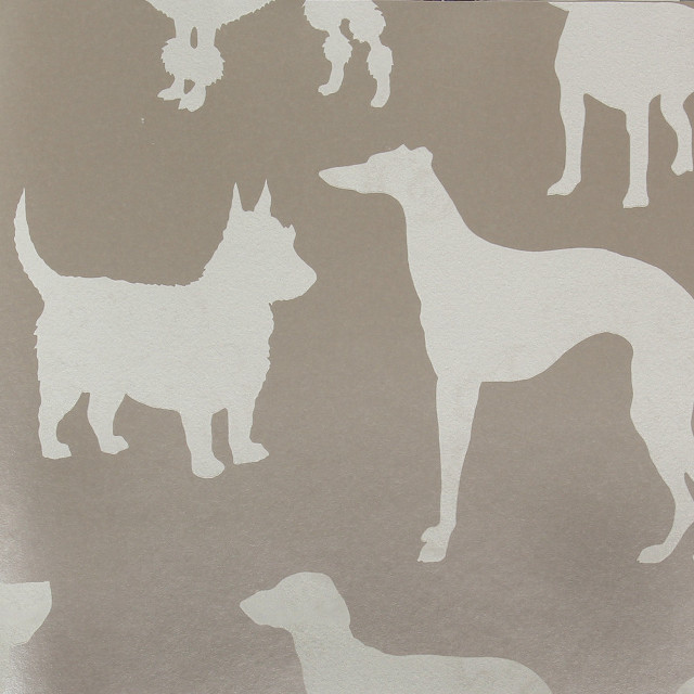 Dog silhouette gray background dogs free wallpaper - medium preview image