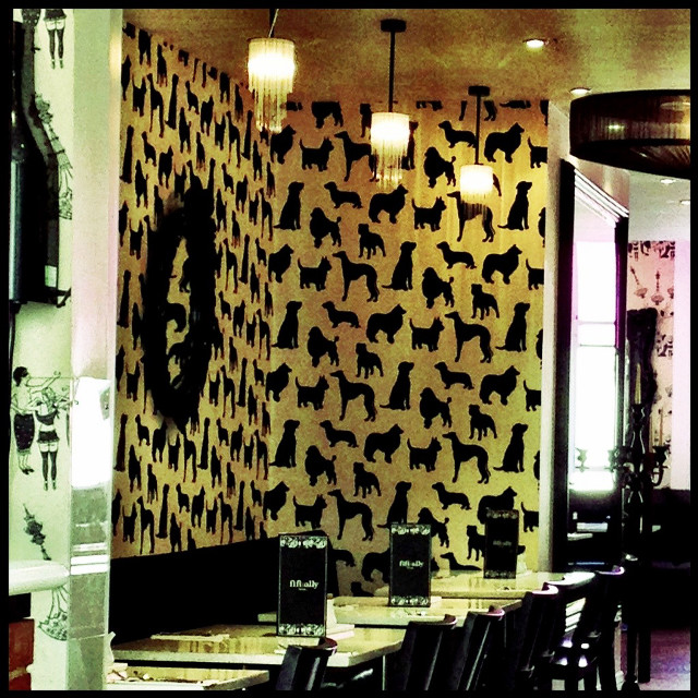 Dog pattern wall mirror clock free wallpaper - medium preview image
