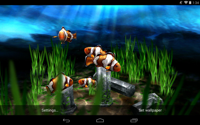 Computer screen fish grass blue free wallpaper - medium preview image