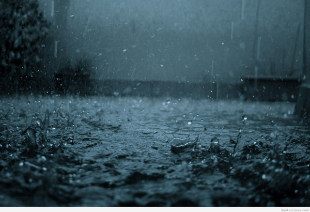 Rain soaked street bench tree free wallpaper - medium preview image
