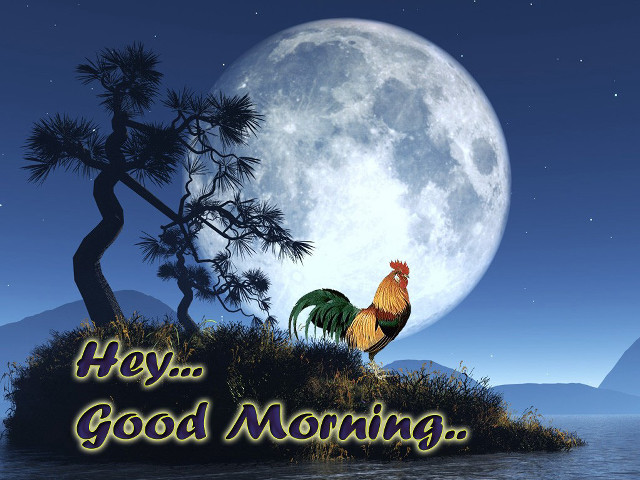 Rooster island fullmoon hey good free wallpaper - medium preview image