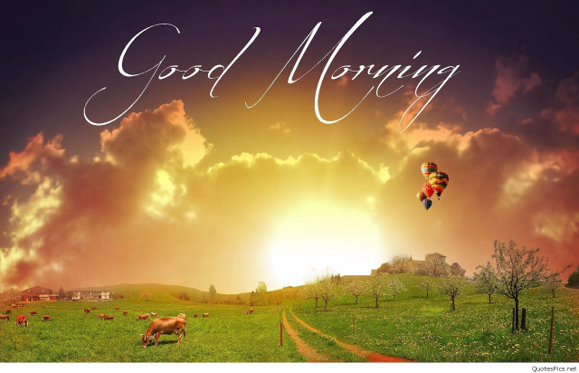 Sunset hotairballoon cow grazing urban free wallpaper - medium preview image