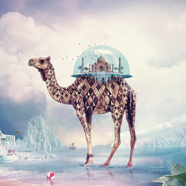 Camel dome water building pink free wallpaper - medium preview image