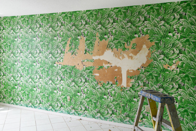 Green wall painting ladder outdoors free wallpaper - medium preview image