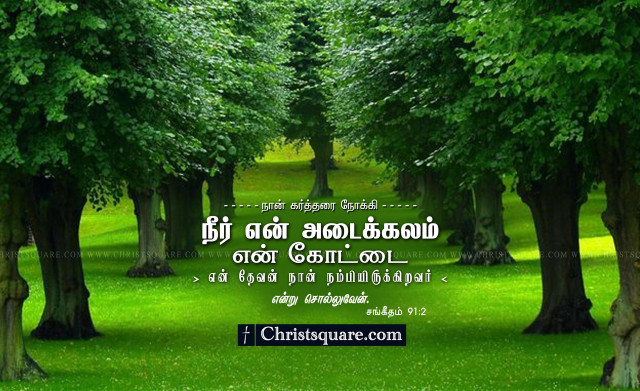 Green field trees quote language free wallpaper - medium preview image
