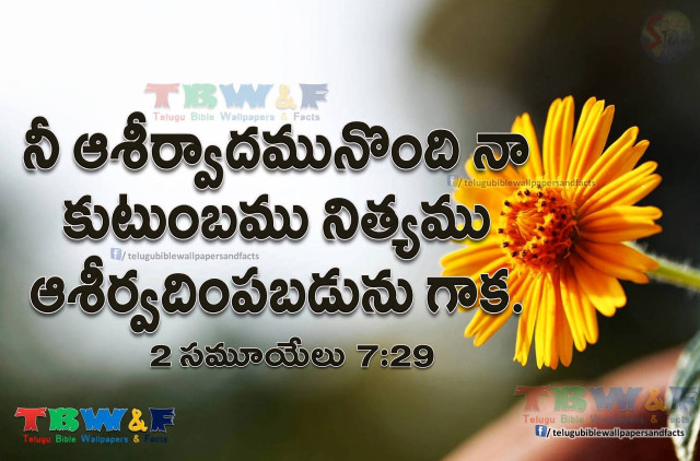 Yellow flower quote in middle free wallpaper - medium preview image