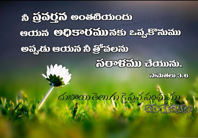 Flower in grass quote language free wallpaper - medium preview image