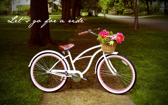 White bicycle flower basket sidewalk free wallpaper - medium preview image