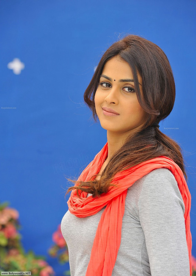 Woman scarf posing picture blue free wallpaper - medium preview image