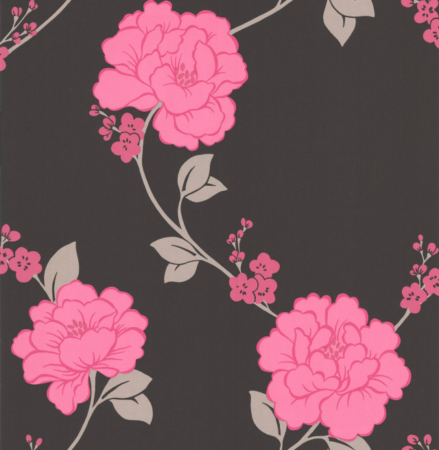 Pink flower black background stem free wallpaper - medium preview image