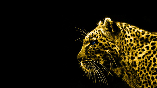 Leopard dark yellow light face free wallpaper - medium preview image