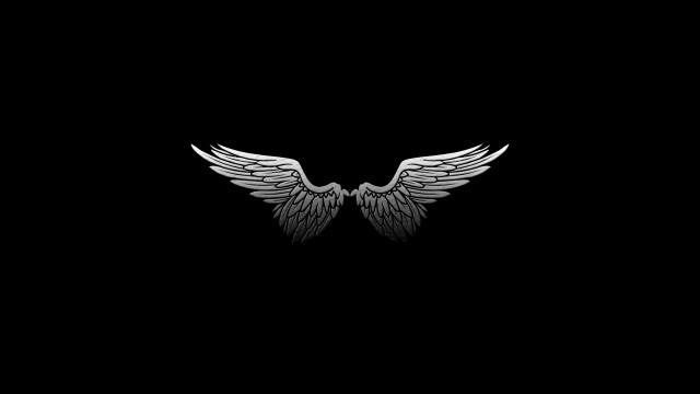 Black white wings reflection angel #2 free wallpaper - medium preview image