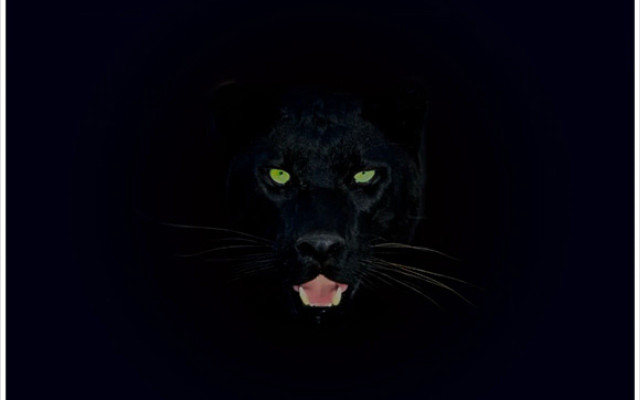 Black panther green eyes dark free wallpaper - medium preview image