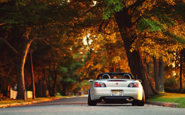 White sports car fall trees free wallpaper - medium preview image