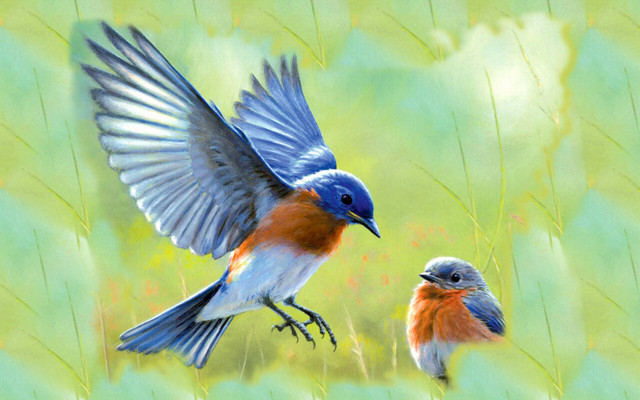 Birds over field flower green free wallpaper - medium preview image