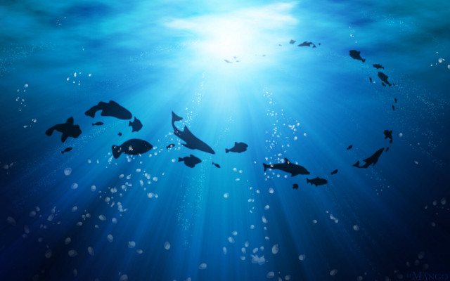 Group fish swimming ocean sunlight free wallpaper - medium preview image