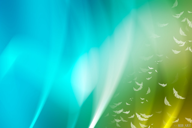 Colorful birds flying sky green free wallpaper - medium preview image